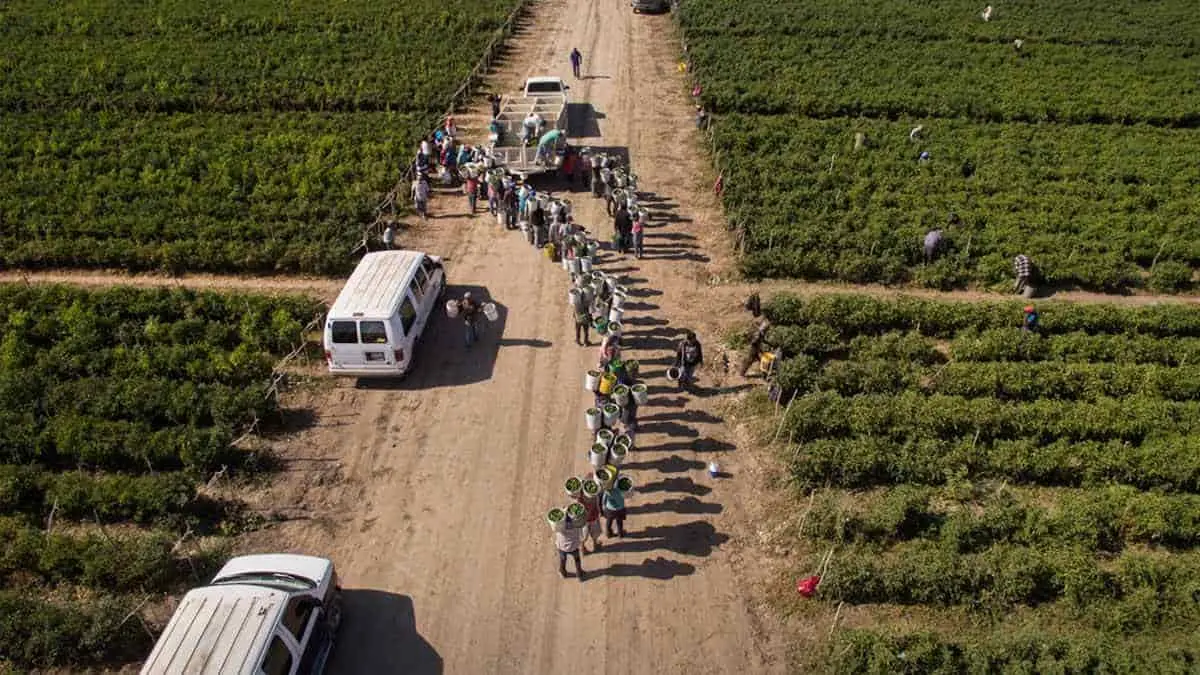 Inquieta a los agricultores más recortes al campo