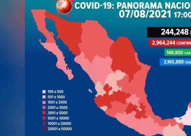 Hospitalizan a Fox y Martha por covid Hospitalizan a Fox y Martha por covid