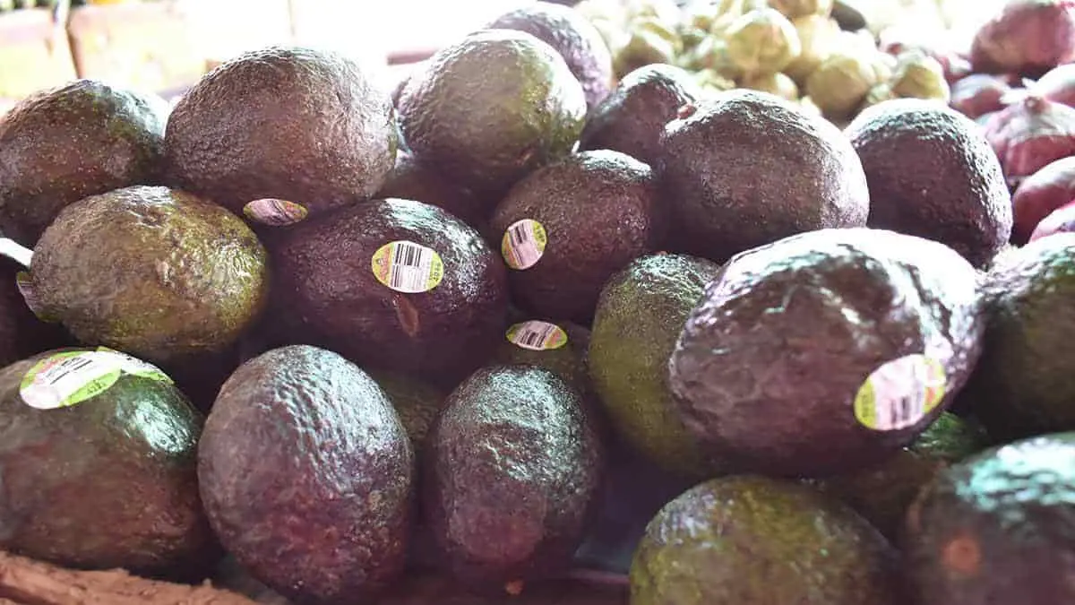 Precio de aguacate, por los cielos