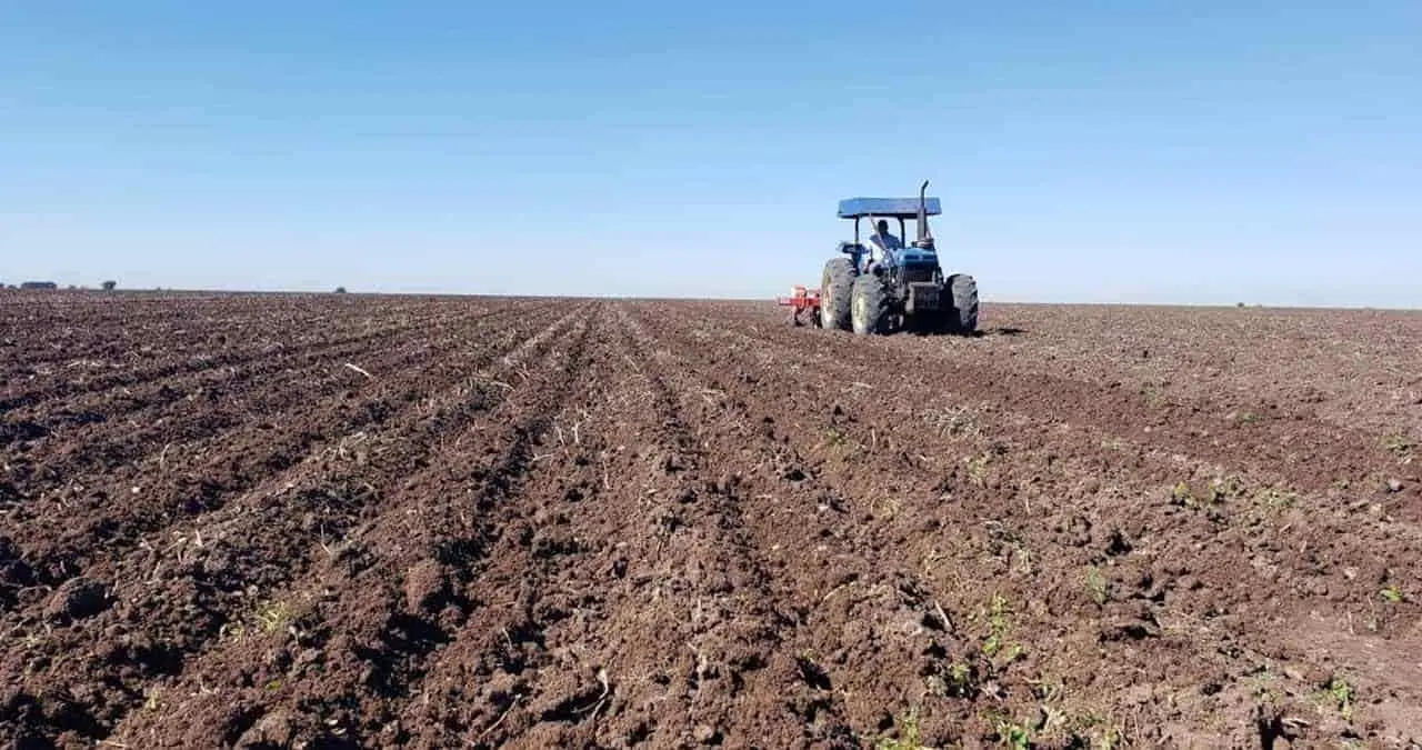 Productores se preparan para próximo ciclo