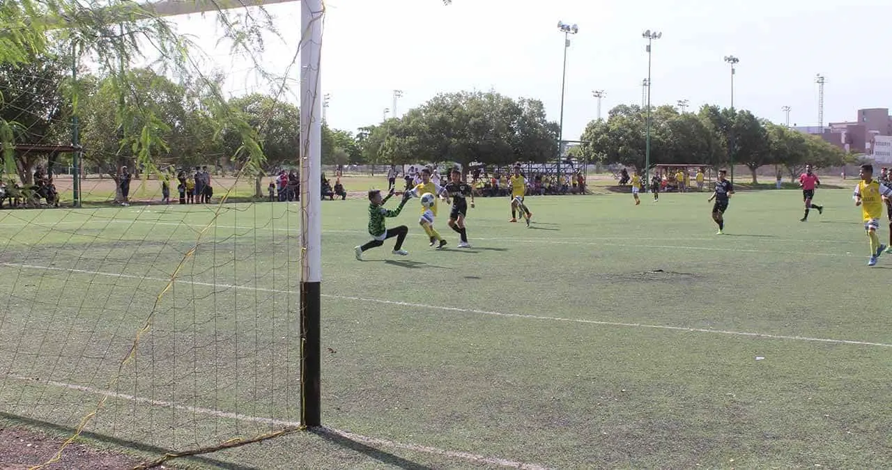 Cajeme A y Hermosillo van por el campeonato