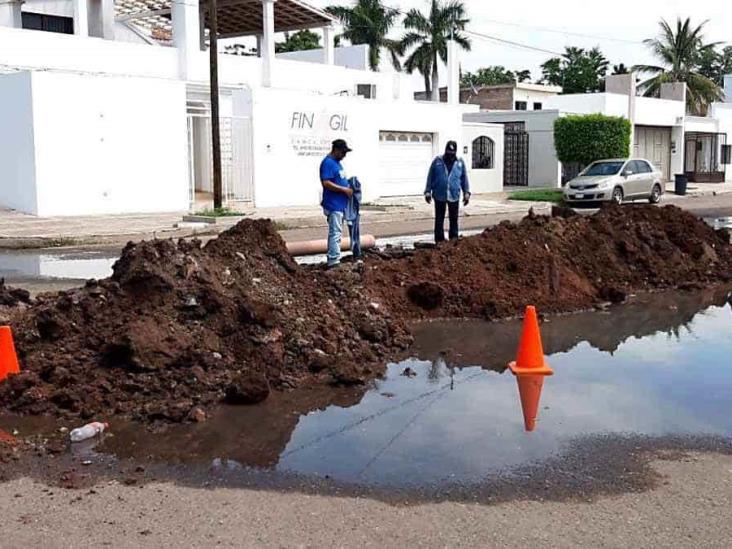 Desazolvan drenajes críticos en Navojoa Desazolvan drenajes críticos en Navojoa