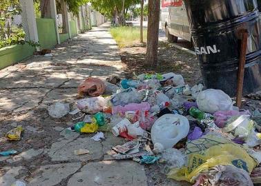 Abundan la basura y los cochinones