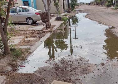 Ya no aguantan las aguas negras Ya no aguantan las aguas negras