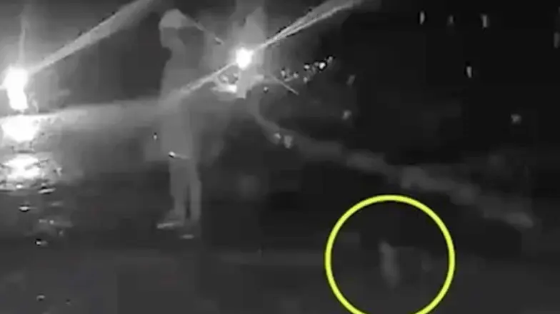 Captan en video a presunto ente paranormal en una cárcel Captan en video a presunto ente paranormal en una cárcel