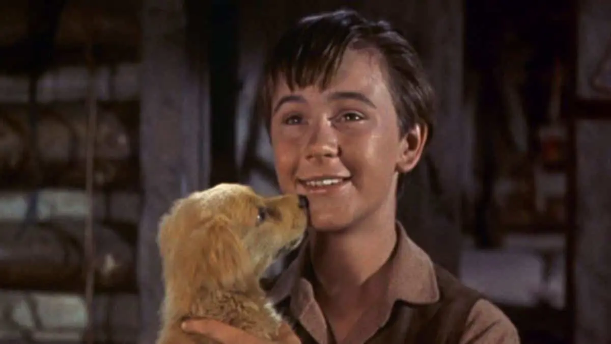 Hallan muerto a Tommy Kirk, actor expulsado de Disney por ser gay