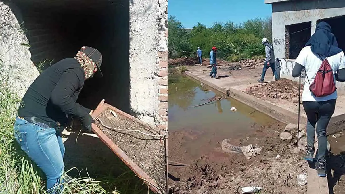 Madres Buscadoras siguen adelante en busca de sus tesoros