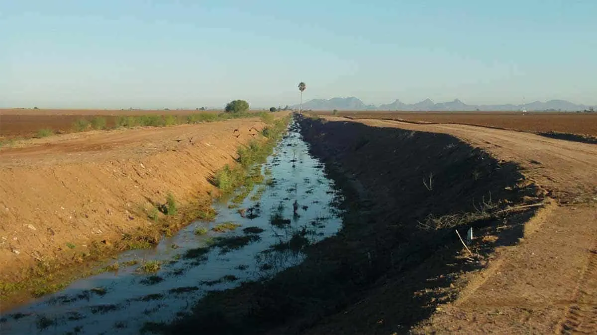 Deben optimizar agua