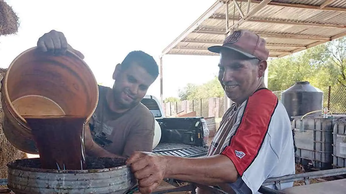 Producirán yaquis fertilizante orgánico
