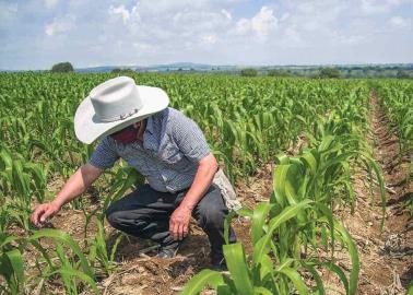 Es momento de invertir