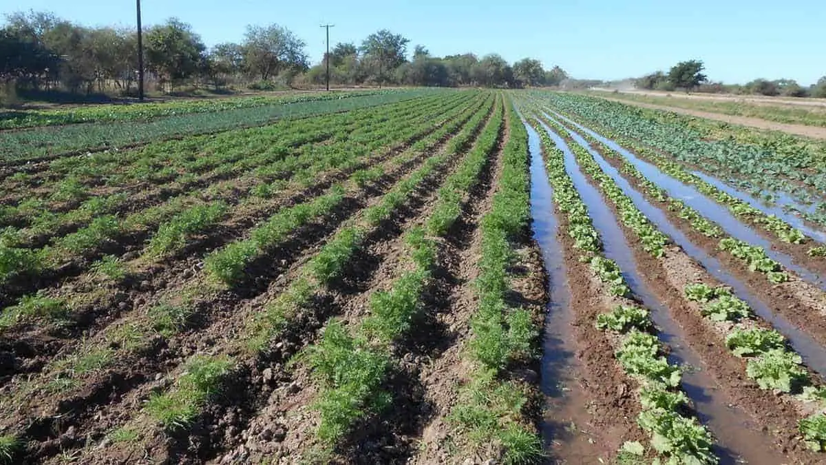 Sube 10% costo del agua de riego