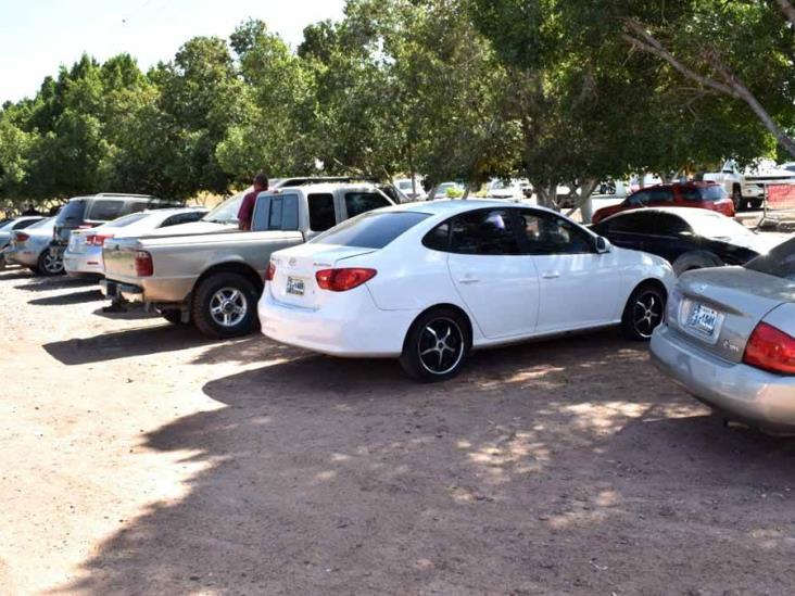 Siete municipios de Sonora podrán legalizar sus autos Siete municipios de Sonora podrán legalizar sus autos