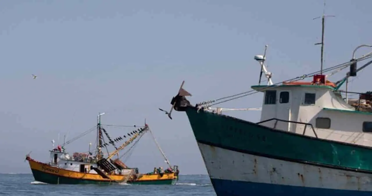 Pescadores tienen respaldo