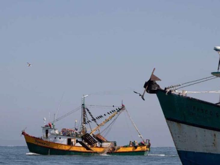 Pescadores tienen respaldo Pescadores tienen respaldo