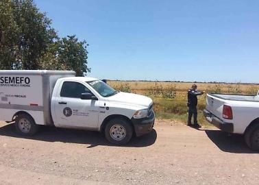 Macabro hallazgo en el Valle del Yaqui