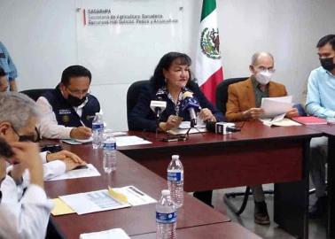 Bombardeo de nubes con yoduro de plata mitigó la sequía de Sonora