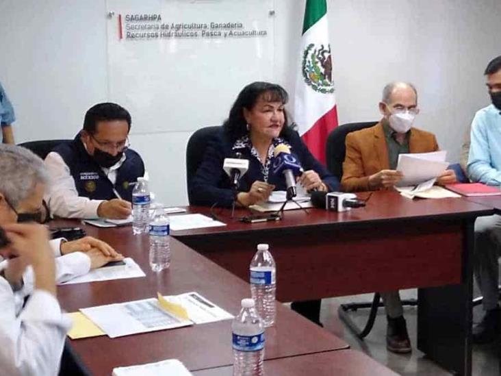 Bombardeo de nubes con yoduro de plata mitigó la sequía de Sonora Bombardeo de nubes con yoduro de plata mitigó la sequía de Sonora