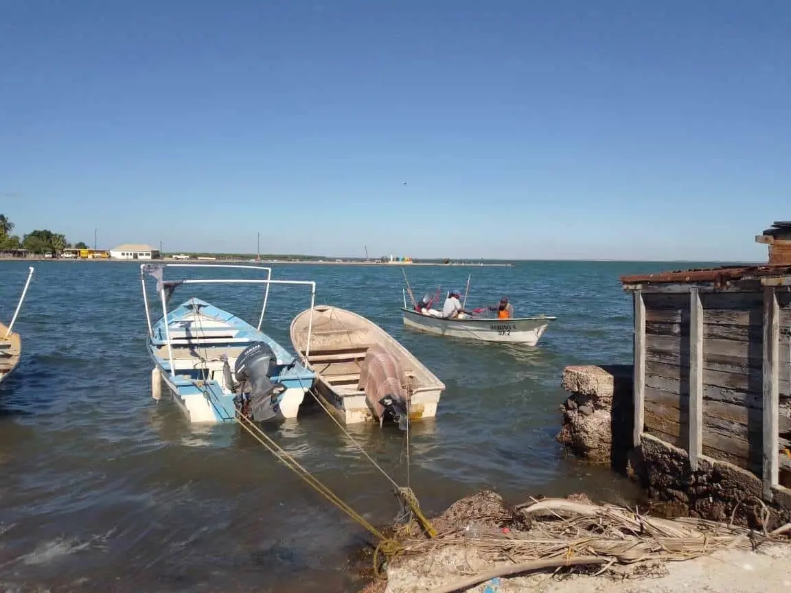 Apoyarán a pescadores libres