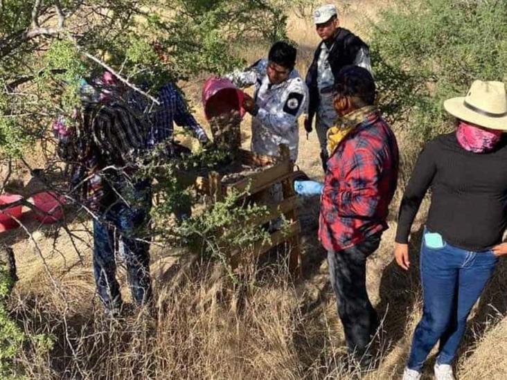 Rastreadoras mantienen búsquedas en el Chichiquelite Rastreadoras mantienen búsquedas en el Chichiquelite