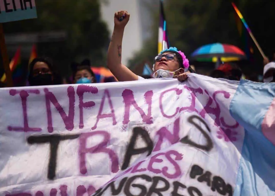 Declaran 29 de octubre Día De Las Infancias y Juventud Trans