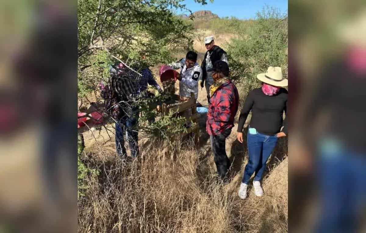 Siguen buscando a desaparecidos