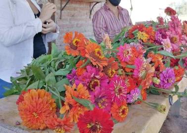 Habrá flores de muertos