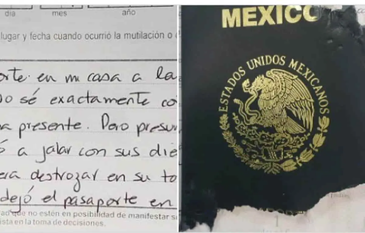 Perro se come su pasaporte; SRE le exige narrar los hechos