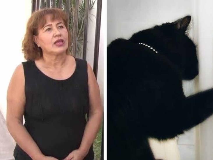 Alertan sobre el uso de animales para sacrificios de magia negra Alertan sobre el uso de animales para sacrificios de magia negra