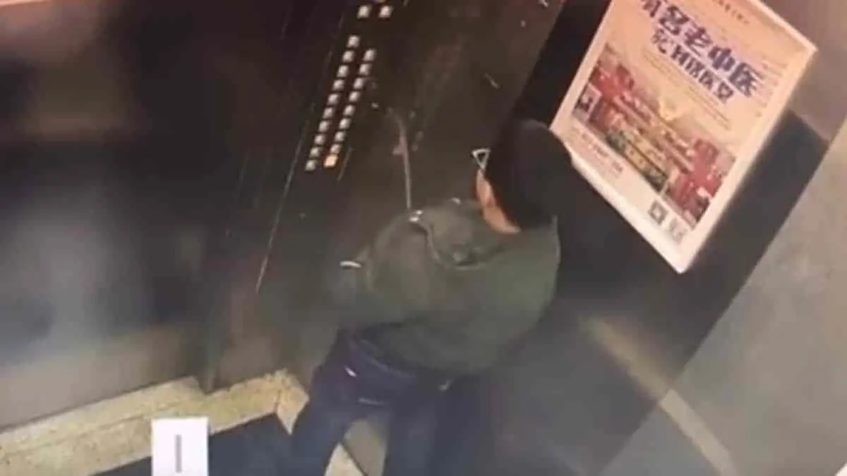 VIDEO. Niño orina botones de elevador y paga cara su travesura