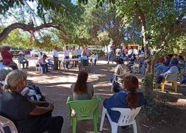 Moroncárit le apuesta al agave