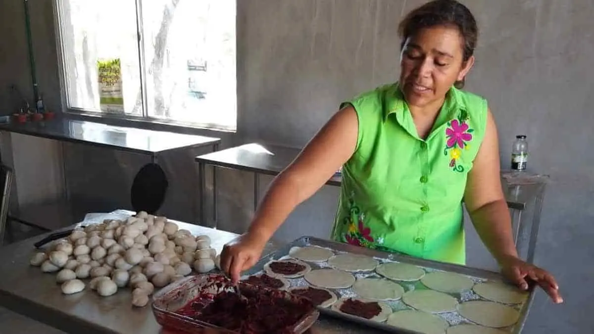 Piden apoyos para proyectos de pitahaya
