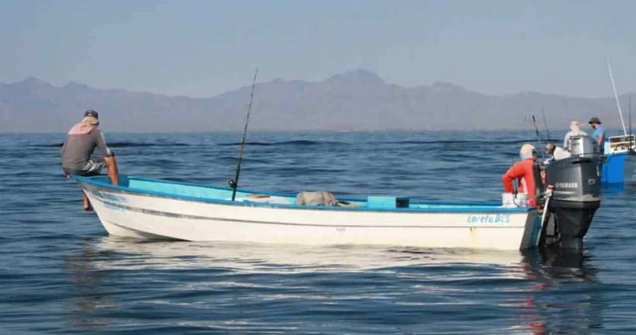 Hay desolación entre pescadores