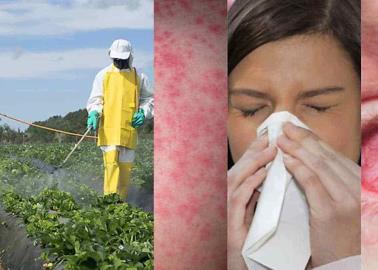 Agroquímico provoca alergias en la gente