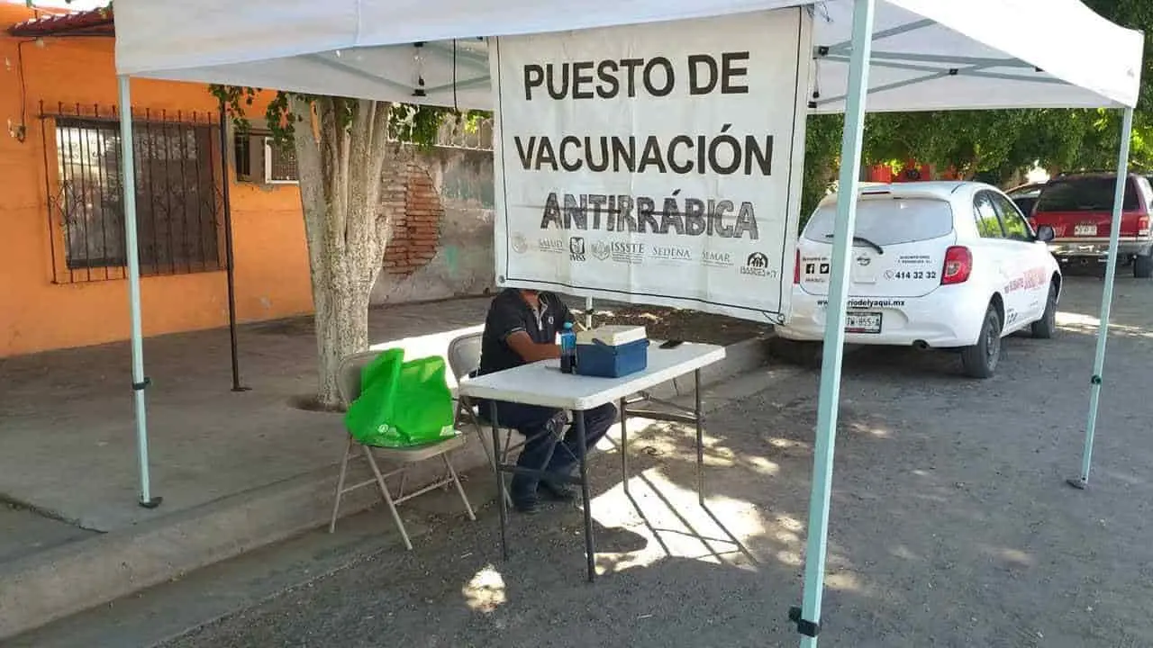 Mantienen aplicación de vacuna antirrábica