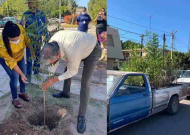 Realizan reforestación en Comisaría de Pueblo Yaqui