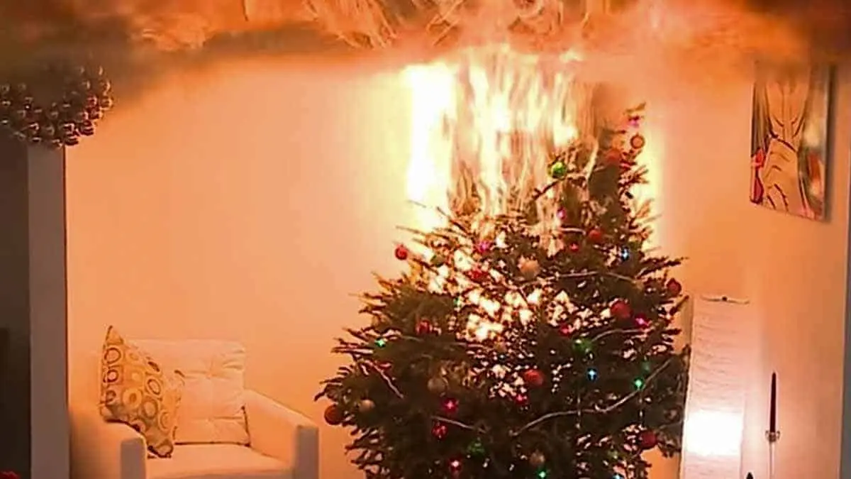 Esté atento esta temporada decembrina con la decoración