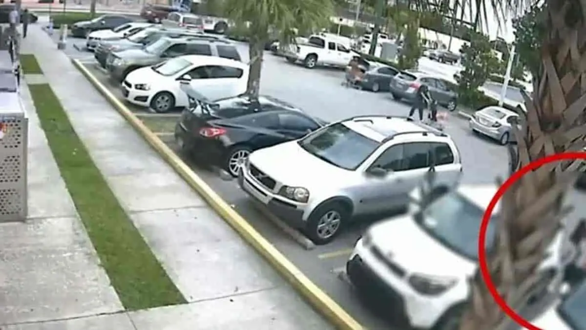 VIDEO. Niña ataca a ladrón por defender a su mamá
