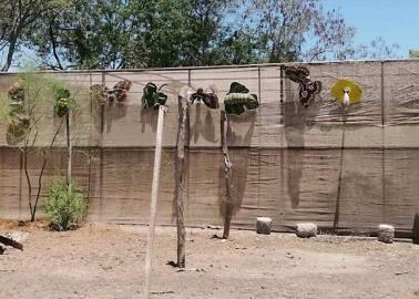 Mariposario de El Júpare sigue en el olvido