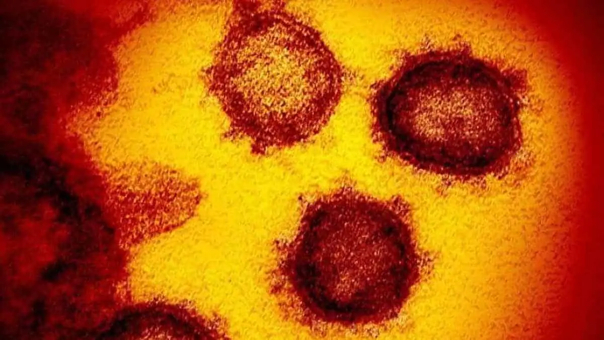 Nueva variante de coronavirus pone en alerta a científicos
