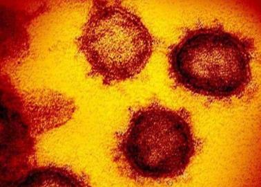 Nueva variante de coronavirus pone en alerta a científicos