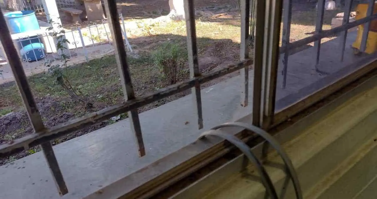 Protegen escuelas del vandalismo