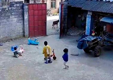 VIDEO. Conmovedora reacción de un niño por defender a  hermanitos