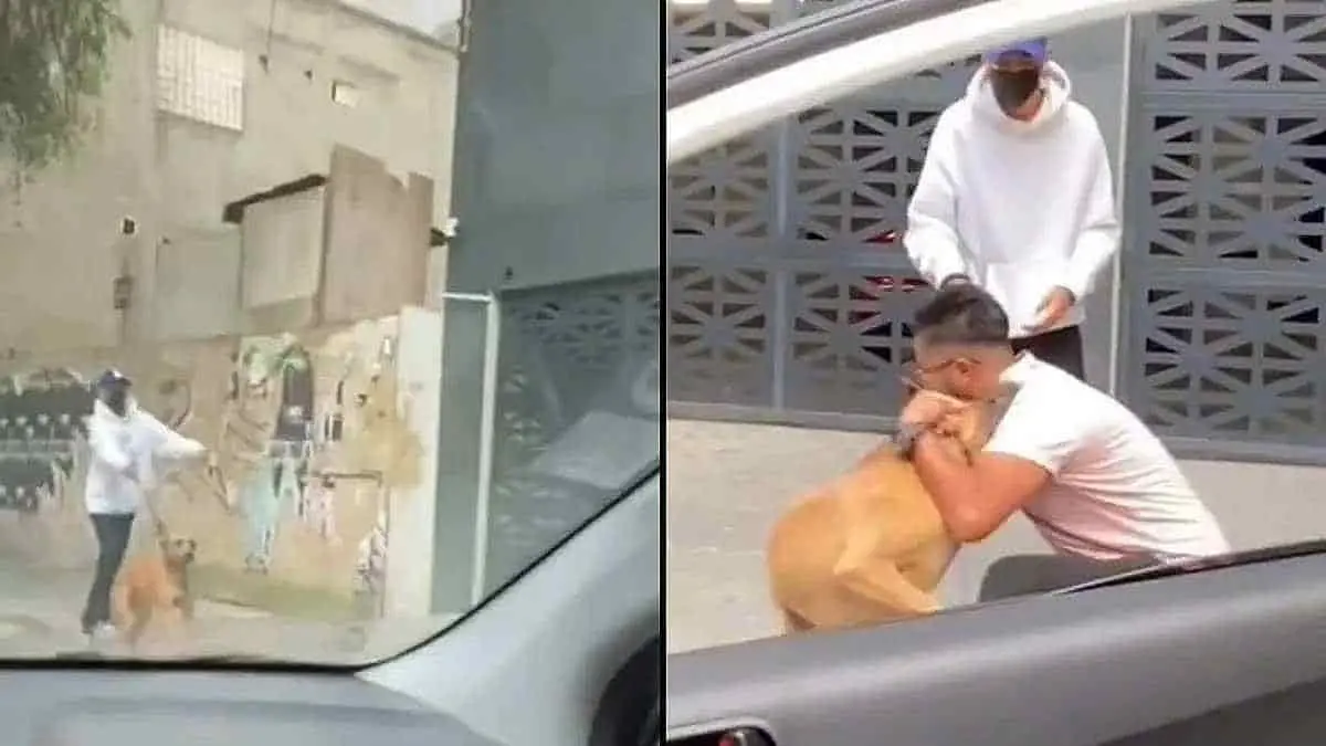VIDEO: Se reencuentra con su perro, perdido 6 años atrás