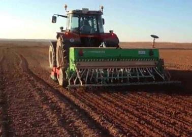 A marchas forzadas siembras de trigo