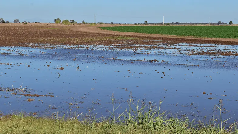 Abundan tiraderos de agua de riego
