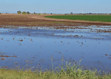 Abundan tiraderos de agua de riego