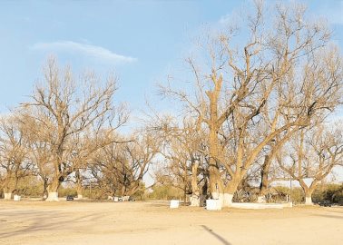 Quieren mayos rescatar su río