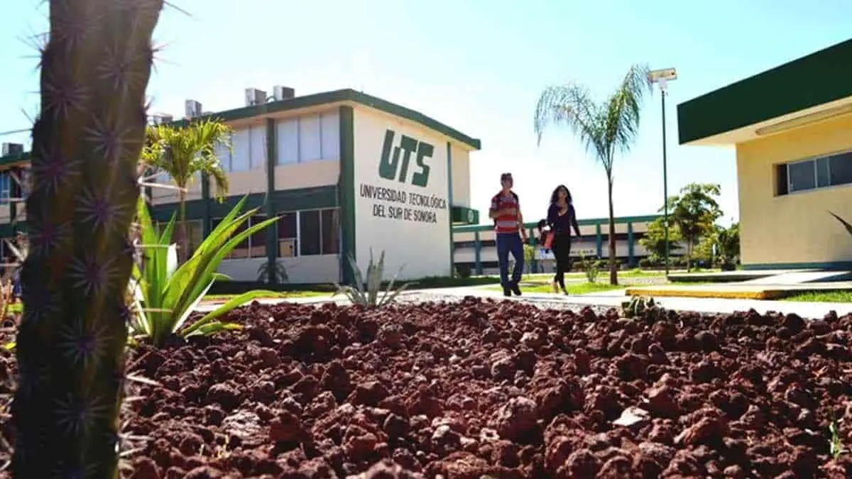 Pagan aguinaldo a personal de UTS