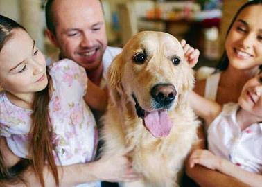 Animales de compañía son legalmente parte de la familia en España