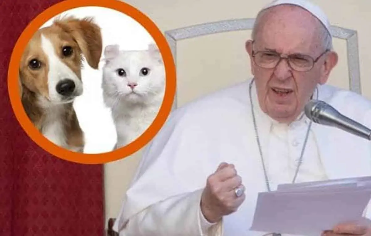 Papa Francisco lamenta que animales domésticos reemplacen a niños